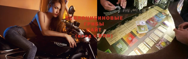 дмт Аркадак