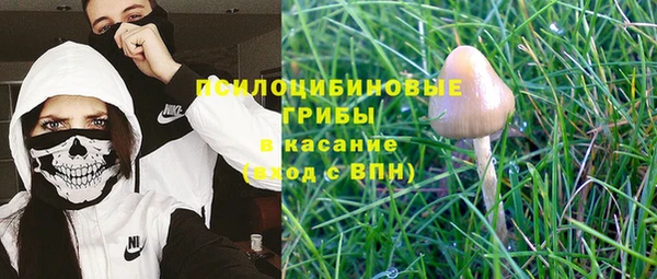 дмт Аркадак