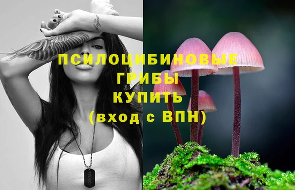 марки lsd Пролетарск