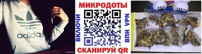 MEGA tor  цены   Усинск  Псилоцибиновые грибы мицелий 